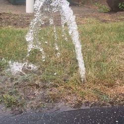 Sprinklers and Pipes Repair 