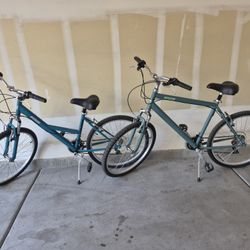 Set Lot of 2 Nishiki Tamarack Comfort Bicycles Bikes Mens Size L Womens Size M