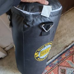 Everlast Punching Bag
