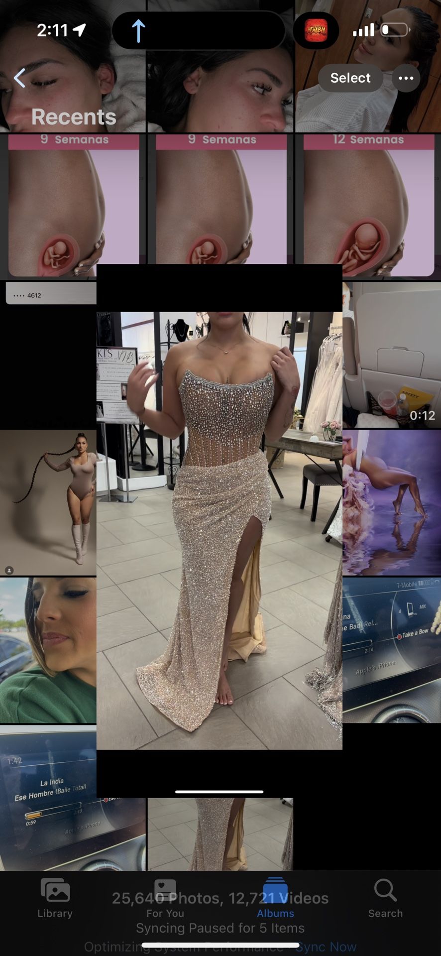 Formal Dress/Prom Dress/ Gala Dress 