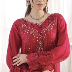 Chiffon Embroidered Dress 