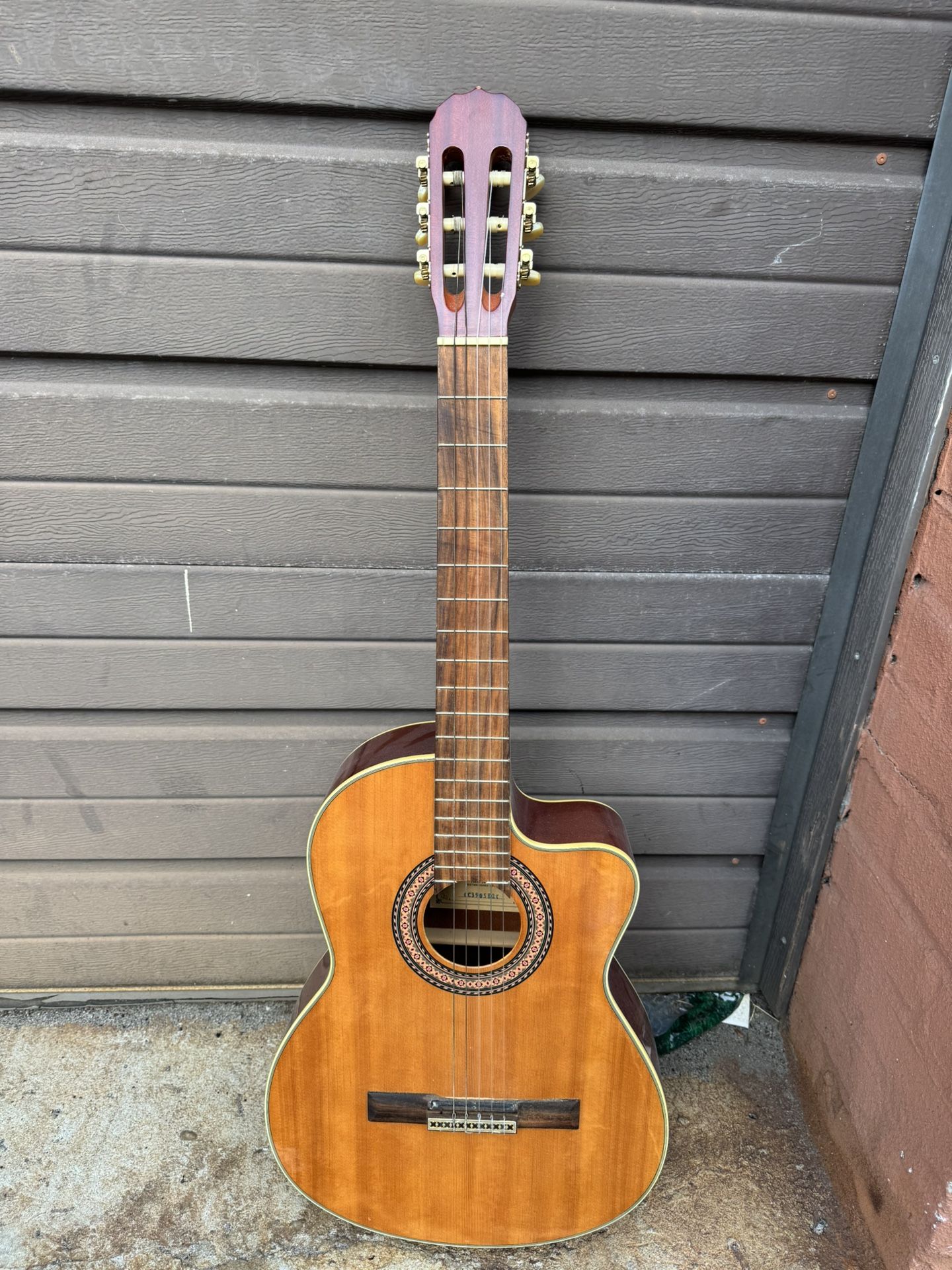 Acoustic Guitar