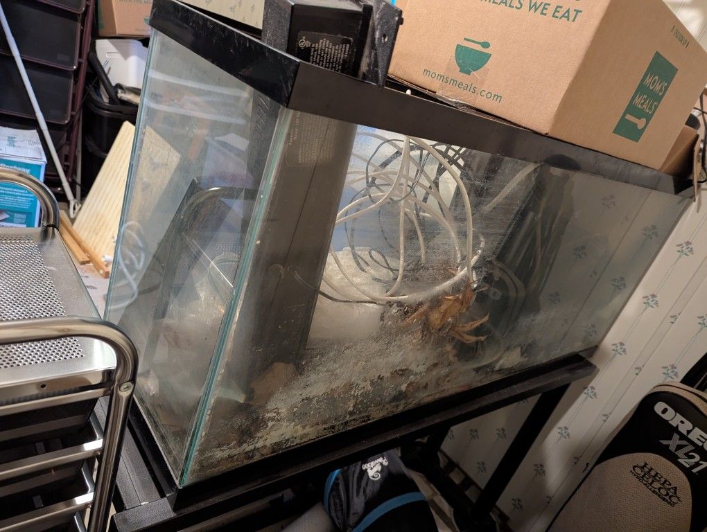 40 Gallon Long Aquarium