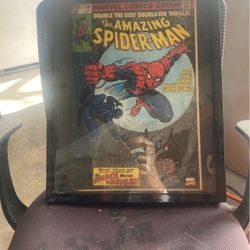 Spider-Man Pic