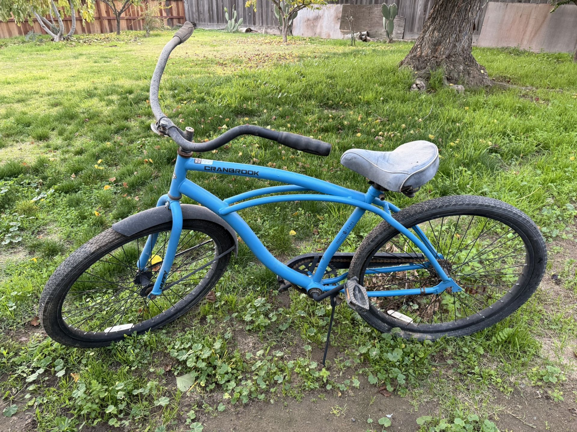 Men’s Beach Cruiser Bike