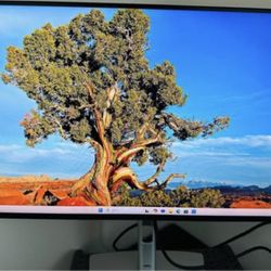 Dell USB-C Hub Monitor 2425HE