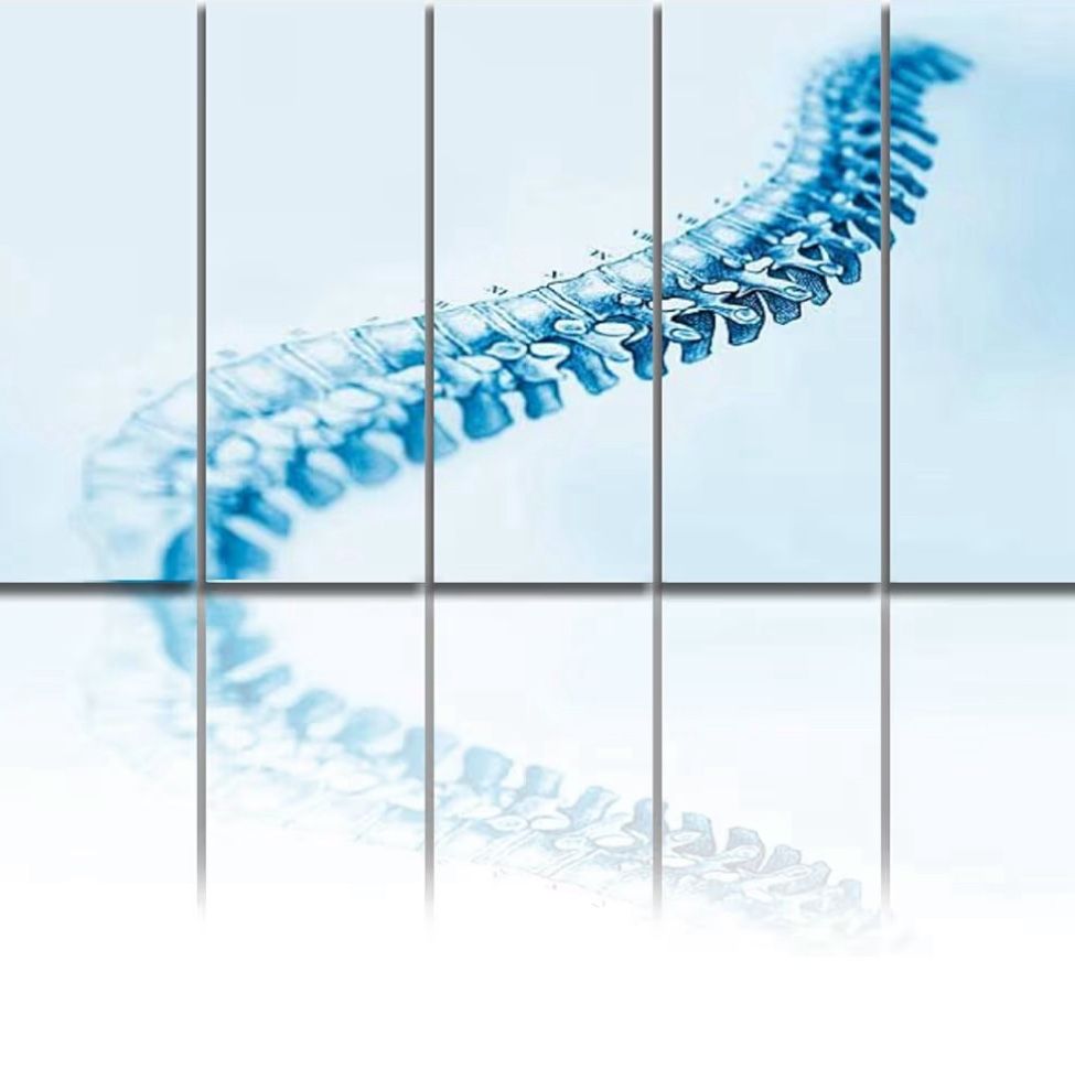 5 Panels Art Wall Decor Human spine Artwork Modern Canvas Prints Office Bedroom Home Decor Framed Painting Ready to Hang (60''Wx32''H)