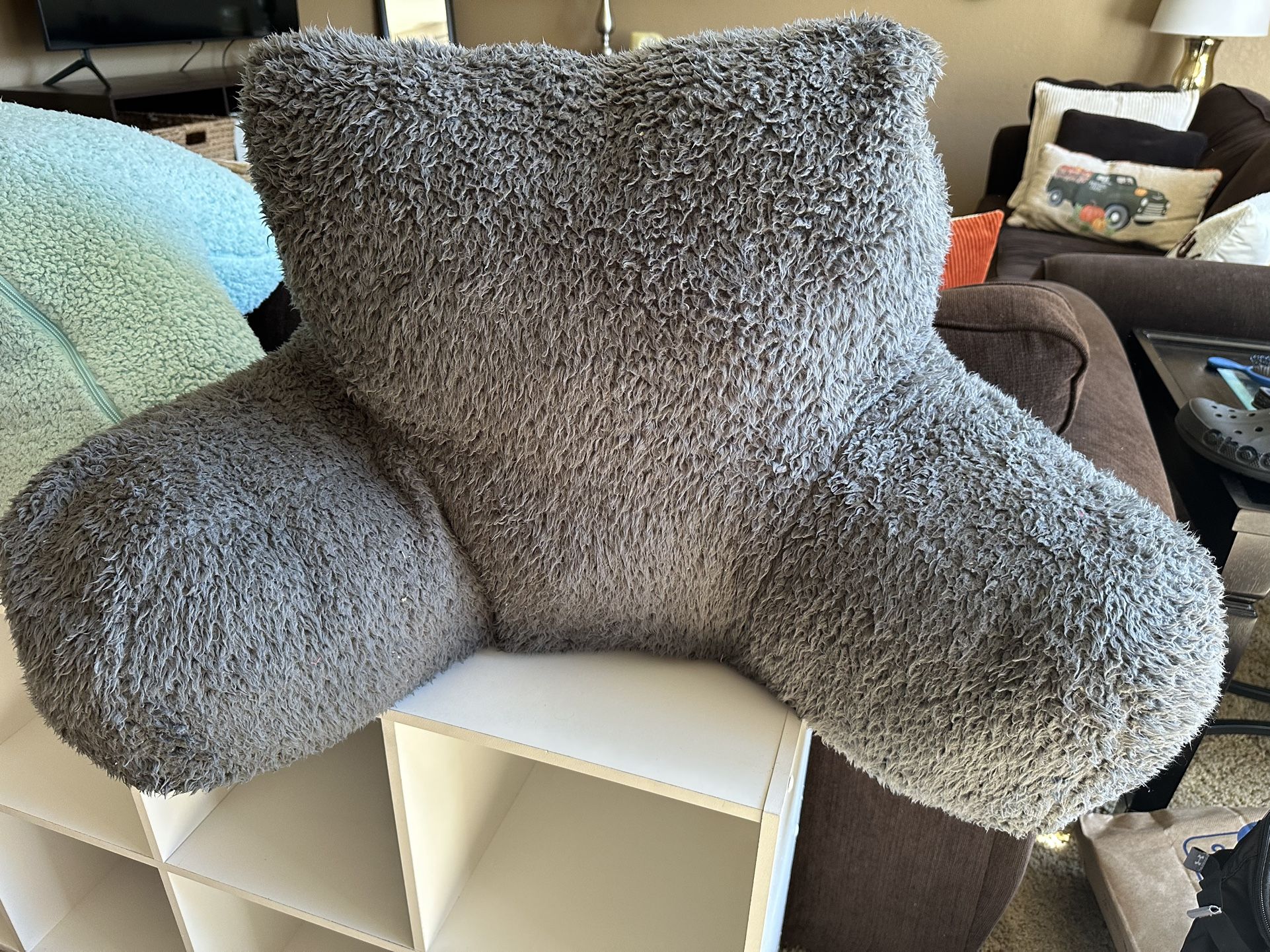 Pottery Barn Teen Pillow