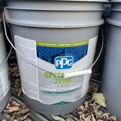 PPG PAINT semi Gloss And Flat White 