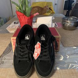 Mens Vans Size 10.   Brand New.  Never Worn. 
