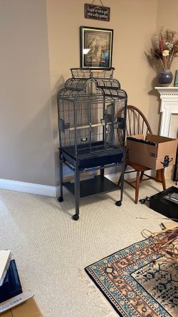Bird Cage