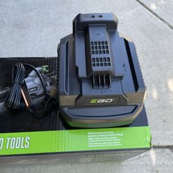 E Go Battery Charger 