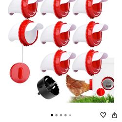 Chicken Feeders 