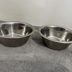 2 Stainless Steel Pet Plates
