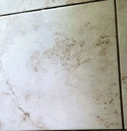 Porcelain floor tile