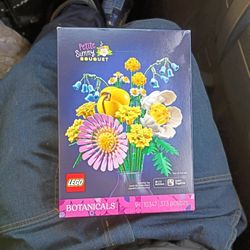 Lego BOTANICALS (Petite Sunny Bouquet)