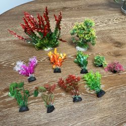 Aquarium Decorations