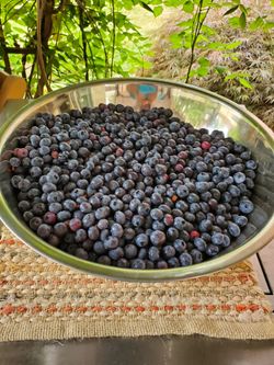 Blueberries