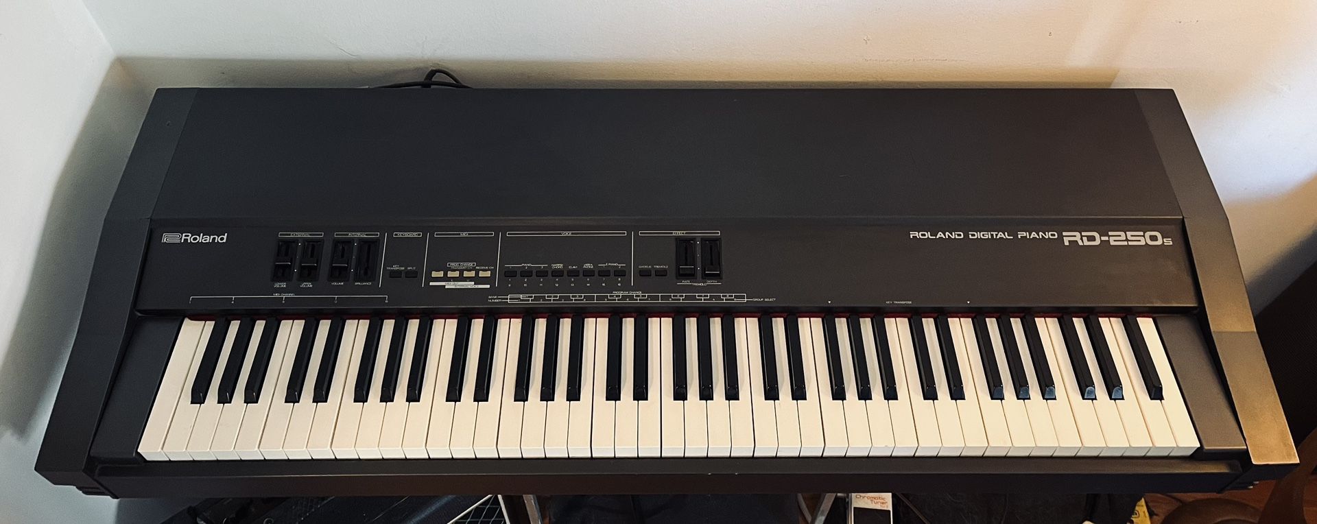 Roland RD 250s Digital Piano w/weighted Keys.