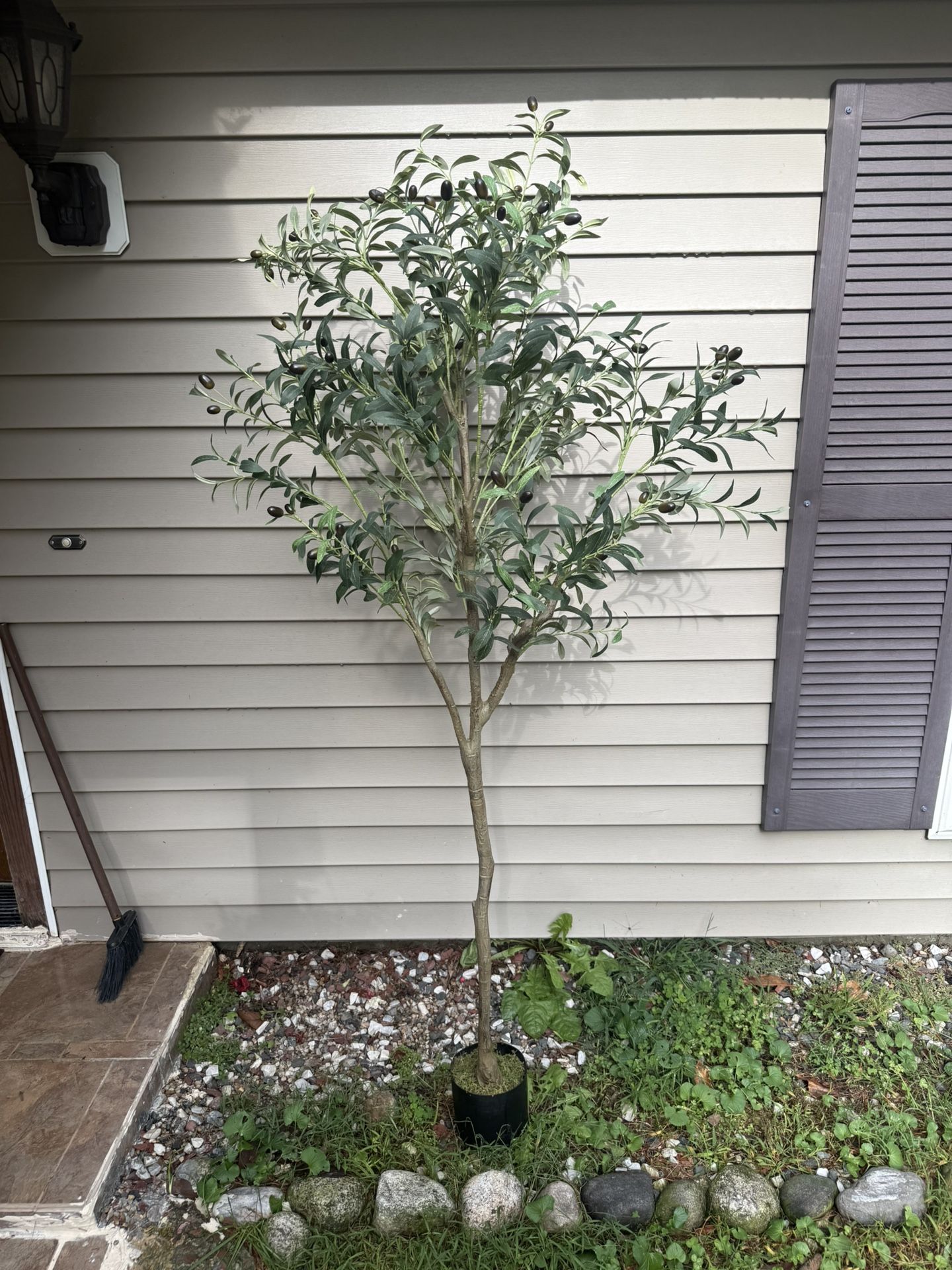 Fake Olive Tree (Large And Small)