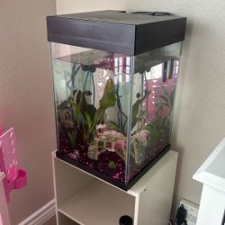 10 Gallon Fish Tank 