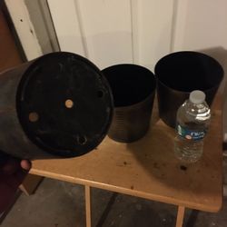 5$ All