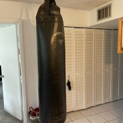 Boxing Bag And Gloves