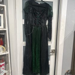 Wicked Halloween Costume Dress