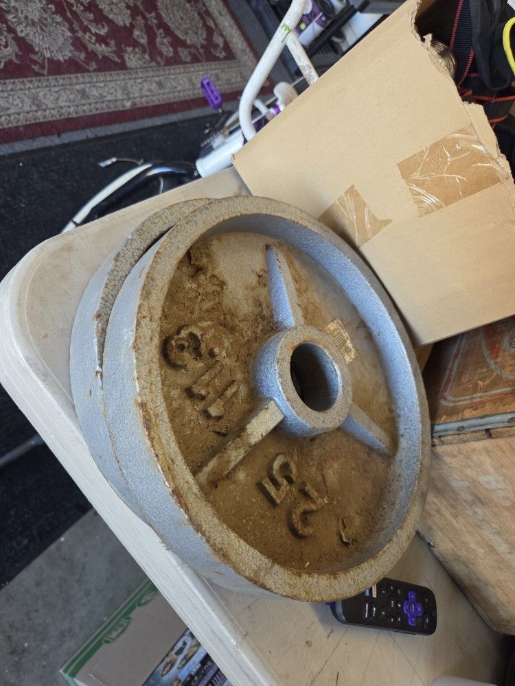 2 - 25 Lb Olympic Weight Plates 