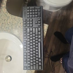Razr Ornata Chroma