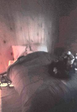 Medium bed