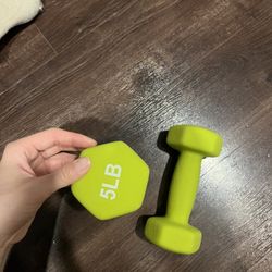 Workout Dumbbells 5lb x2