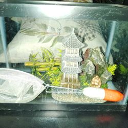 Used Glass Fish Tank 