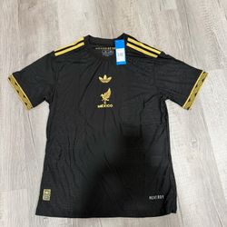 Mexico Jersey X-Large 