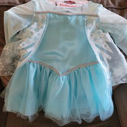 Elsa Dress Size 2T