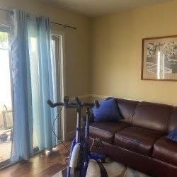 Sofa with pullout bed, rug, pillows and curtains