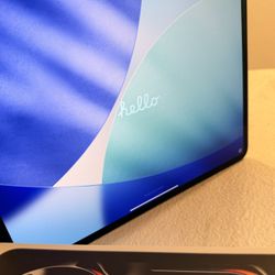 ipad pro 13-inch m4 wi-fi + cellular 256gb (Excellent Condition)