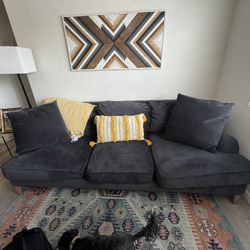 Living Spaces Couch