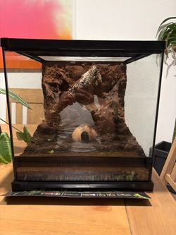 Exo Terra Terrarium