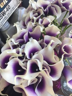 Vase and flowers