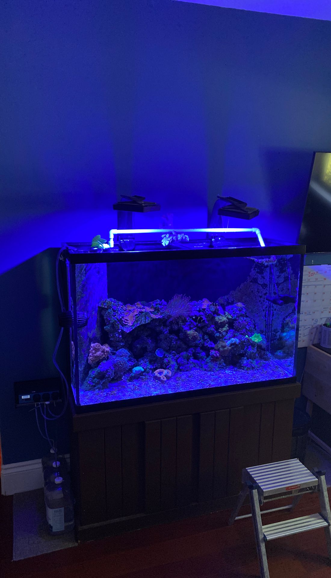 Fish Tank 90gallons