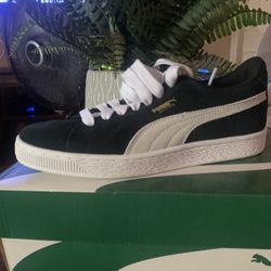 Pumas 