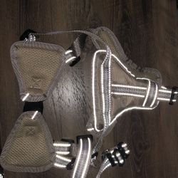 Dog Leash 