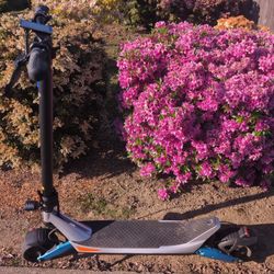 Varla Pegasus Electric Scooter