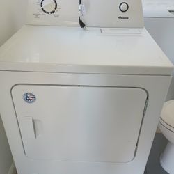 Gas Dryer 