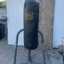 Punching Bad And Stand 