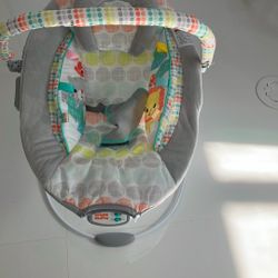 Baby Bouncer