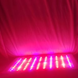 2x 1000w LED Grow Light