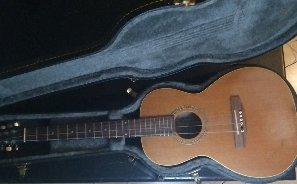 Seagull Coastline Grand Acoustic Guitar