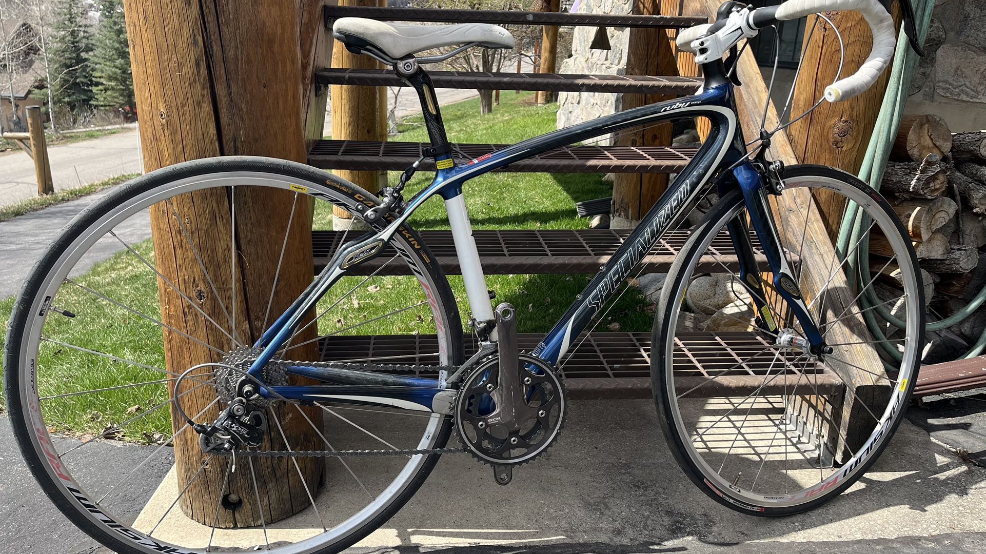 Specialized Woman’s Carbon Frame